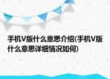 手机V版什么意思介绍(手机V版什么意思详细情况如何)