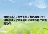 如果你进入了金鱼的肚子会怎么样介绍(如果你进入了金鱼的肚子会怎么样详细情况如何)
