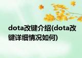 dota改键介绍(dota改键详细情况如何)