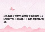 snh48那个组合到底是在干嘛的介绍(snh48那个组合到底是在干嘛的详细情况如何)