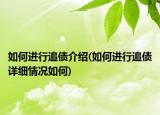 如何进行追债介绍(如何进行追债详细情况如何)