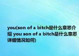 you(son of a bitch是什么意思介绍 you son of a bitch是什么意思详细情况如何)