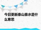 今日更新泰山泰水是什么意思