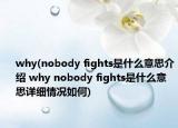 why(nobody fights是什么意思介绍 why nobody fights是什么意思详细情况如何)