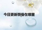 今日更新颚骨在哪里