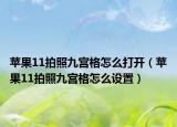 苹果11拍照九宫格怎么打开（苹果11拍照九宫格怎么设置）