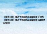 《爱情公寓》里吕子乔说的二垒是指什么介绍(《爱情公寓》里吕子乔说的二垒是指什么详细情况如何)