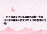 广州天河体育中心体育场怎么样介绍(广州天河体育中心体育场怎么样详细情况如何)