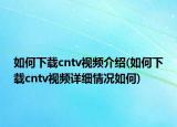 如何下载cntv视频介绍(如何下载cntv视频详细情况如何)