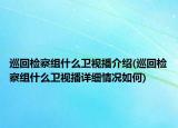 巡回检察组什么卫视播介绍(巡回检察组什么卫视播详细情况如何)