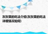 灰灰菜的吃法介绍(灰灰菜的吃法详细情况如何)