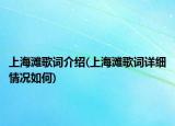 上海滩歌词介绍(上海滩歌词详细情况如何)