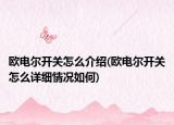 欧电尔开关怎么介绍(欧电尔开关怎么详细情况如何)