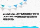 punto(milano是什么面料服装外贸介绍 punto milano是什么面料服装外贸详细情况如何)