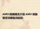 AMV(转换精灵介绍 AMV 转换精灵详细情况如何)