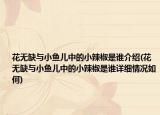花无缺与小鱼儿中的小辣椒是谁介绍(花无缺与小鱼儿中的小辣椒是谁详细情况如何)