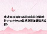 审计breakdown是啥意思介绍(审计breakdown是啥意思详细情况如何)