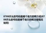 8789开头的号码是哪个地方的呢介绍(8789开头的号码是哪个地方的呢详细情况如何)