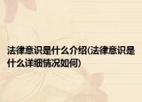 法律意识是什么介绍(法律意识是什么详细情况如何)