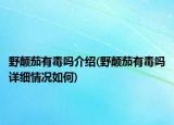 野颠茄有毒吗介绍(野颠茄有毒吗详细情况如何)