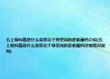 五上仙纠葛是什么意思花千骨里说的是紫薰吗介绍(五上仙纠葛是什么意思花千骨里说的是紫薰吗详细情况如何)