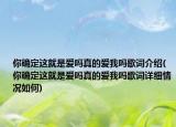 你确定这就是爱吗真的爱我吗歌词介绍(你确定这就是爱吗真的爱我吗歌词详细情况如何)