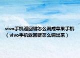 vivo手机返回键怎么调成苹果手机（vivo手机返回键怎么调出来）