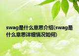 swag是什么意思介绍(swag是什么意思详细情况如何)