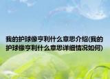 我的护球像亨利什么意思介绍(我的护球像亨利什么意思详细情况如何)