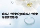 隐形人孙燕姿介绍(隐形人孙燕姿详细情况如何)