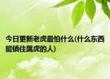 今日更新老虎最怕什么(什么东西能镇住属虎的人)