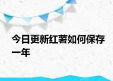 今日更新红薯如何保存一年