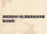 清明茶的诗介绍(清明茶的诗详细情况如何)