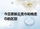 今日更新云柔巾和棉柔巾的区别