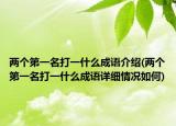 两个第一名打一什么成语介绍(两个第一名打一什么成语详细情况如何)