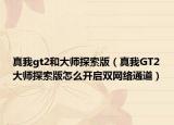 真我gt2和大师探索版（真我GT2大师探索版怎么开启双网络通道）