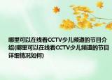 哪里可以在线看CCTV少儿频道的节目介绍(哪里可以在线看CCTV少儿频道的节目详细情况如何)