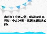 嘟啊嘟（中文DJ版）(歌词介绍 嘟啊嘟（中文DJ版） 歌词详细情况如何)