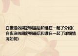 白夜追凶周舒桐最后和谁在一起了介绍(白夜追凶周舒桐最后和谁在一起了详细情况如何)