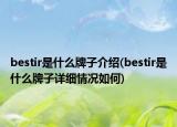 bestir是什么牌子介绍(bestir是什么牌子详细情况如何)