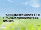 一个人可以DIY出哪些有意思的手工介绍(一个人可以DIY出哪些有意思的手工详细情况如何)