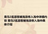 青岛2名游客被海浪卷入海中详细内容 青岛2名游客被海浪卷入海中具体介绍