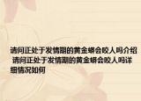 请问正处于发情期的黄金蟒会咬人吗介绍 请问正处于发情期的黄金蟒会咬人吗详细情况如何