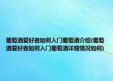 葡萄酒爱好者如何入门葡萄酒介绍(葡萄酒爱好者如何入门葡萄酒详细情况如何)