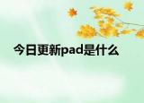 今日更新pad是什么