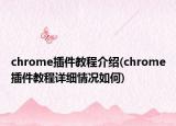 chrome插件教程介绍(chrome插件教程详细情况如何)