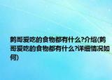 鹩哥爱吃的食物都有什么?介绍(鹩哥爱吃的食物都有什么?详细情况如何)