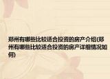 郑州有哪些比较适合投资的房产介绍(郑州有哪些比较适合投资的房产详细情况如何)