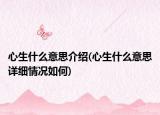 心生什么意思介绍(心生什么意思详细情况如何)