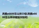 奔腾e6600怎么样介绍(奔腾e6600怎么样详细情况如何)